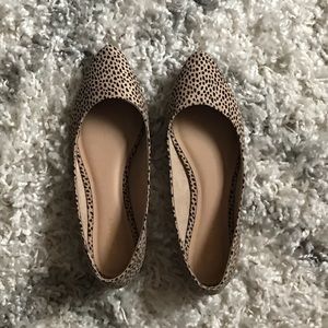 Pointed Cheetah Flats